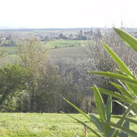 Figuier Domaine Cap De Coste