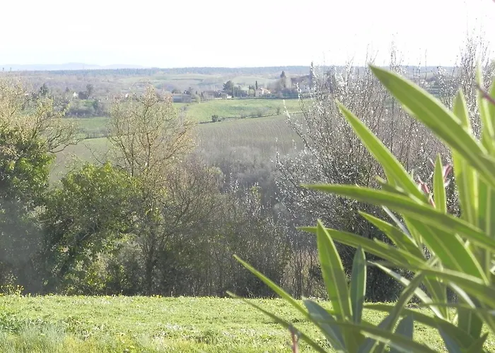 Figuier Domaine Cap De Coste
